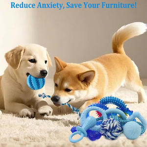 Hot Sale China Manufacturer Luxury Interactive <b>Dog</b> Toys Low Price TPR Rubber Pet Movement Toys - Product Image 4