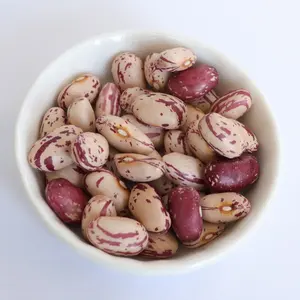 Wholesale Cranberry Jugo Red Speckled Kidney Beans Sugar Pinto Beans For Canned Food