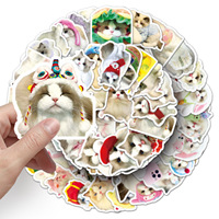 50 Uds. Pegatinas decorativas de gato Ragdoll encantador para decoración de refrigerador de ordenador portátil vinilo simulado pegatina de gato