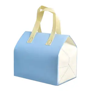 Großhandel Custom Aluminium Foam EPE Wasserdichte und umwelt freundliche Lunch Bag