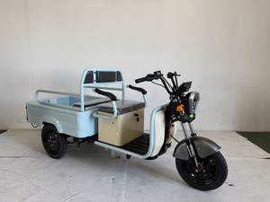Tricycle Électrique Cargo Mini Moderne Vente en Gros Vélo de Loisirs Électrique à 3 Roues <span class=keywords><strong>pour</strong></span> Adultes 60V20AH - Product Image 3