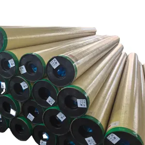 Shalong toptan beyaz yumuşak PVC gergi tavan Film dekoratif malzemeler için 22S