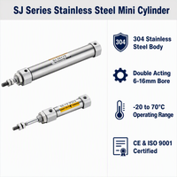 Cylindre pneumatique miniature en acier inoxydable 304 à double action, alésage 6 10 12 16 mm, cylindre à air compact pour l'automatisation industrielle