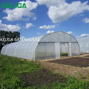 Cost-effective Agricultural Arch Greenhouse Vegetable Cultivation Greenhouse Plastic Cover Material