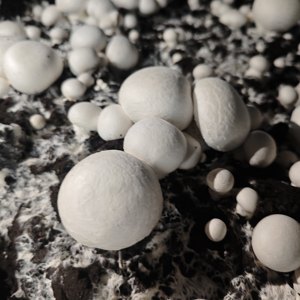 Champignons Blancs Surgelés IQF Grade A, Tranchés, Ingrédient pour <span class=keywords><strong>Pizza</strong></span>, Certifiés BRC, Vente en Gros, Carton de 1kg - Product Image 4