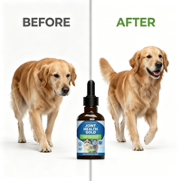 Soutien Rénal Or pour Animaux de Compagnie – Suppléments Liquides Riches en Protéines Or avec Rehmannia et Cordyceps pour Chats et Chiens (OEM)