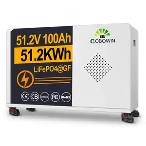 Roller Type Large Capacity 48V 200Ah10000wh Store Use Home Use Solar Generator Emergency Mobile Energy Storage Power Station