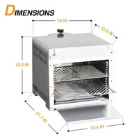 Grill à gaz professionnel de 16 pouces pour steakhouse avec brûleur infrarouge et grilles de cuisson épaisses, design moderne pour une qualité de restaurant