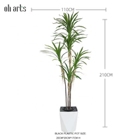 Oh Arts - Personalización de Árboles Artificiales de Dracaena de 210 cm, Dracaena Cochinchinensis, Dracaena Angustifolia