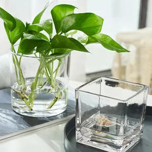 DESITA Factory Modern Clear Square Glass Cube Vase Transparent Crystal With Multiple Sizes For Floor Or Tabletop Decor