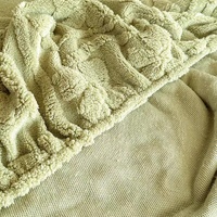 Couvre-lit en molleton de lait épaissi d'automne et d'hiver avec housse de matelas de protection en gros de techniques tissées