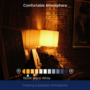 Hight Quality Smoked Glass Spiral <strong>LED</strong> Bulb A60 4W 1800K Dimmable <strong>E27</strong> Gold Cap Warm Decorative Bulb - Product Image 4