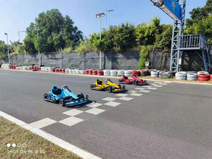 Go karting électriques pour adultes, karting <span class=keywords><strong>de</strong></span> <span class=keywords><strong>course</strong></span>, bon marché et <span class=keywords><strong>de</strong></span> <span class=keywords><strong>bonne</strong></span> <span class=keywords><strong>qualité</strong></span>, pour parc d'attractions, carénage, tout terrain, pour enfants - Product Image 6