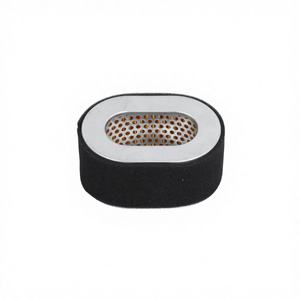 Élément de filtre à air pour moteur diesel 178F pour pièces de machines, garantie de 3 mois, US 0,5 kg - Product Image 4