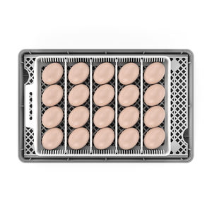 HHD เครื่องฟักไข่20ฟองเครื่องฟักไข่อัตโนมัติ oeuf เครื่องทดสอบไข่อัตโนมัติ - Product Image 3