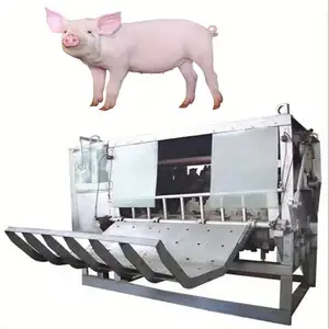 Machine à épiler les cochon, équipement professionnel, nouveau modèle 2019