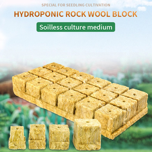 Hydroponische Rockwool blokken voor de teelt van tomaten, komkommers en sla - Product Image 3