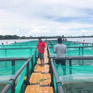 Cages carrées pour élevage de poissons alevins Cobia Grouper - Product Image 6