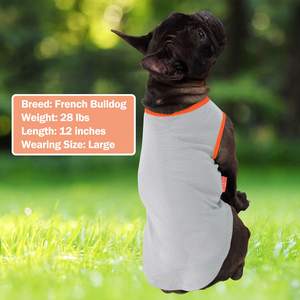 T-shirt d'été mignon pour chiens, vêtement moderne en polyester pour chiot, motif solide, vente en gros, nouveauté - Product Image 5
