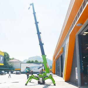 Yugong EPA CE معتمد ديزل كهربائي 3 طن رافعة عنكبوتية رافعة ذبابة مجموعة متنوعة من رافعات العنكبوت معايير عالية - Product Image 4