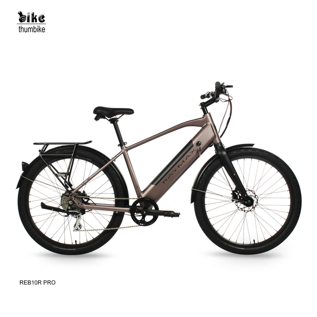 Electric Bike 8 Speed City Aluminum Alloy Frame Rear Hub Motor Ebike 500W Motor LCD Display Hydraulic Disc Brake Lithium Battery