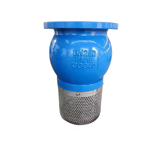 OEM Precio Bajo Flange Foot Pn16 GGG50 Foot PN2.5 SS304 Mesh Foot - Product Image 2