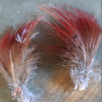Feder bündel Angeln Feder Fliegen binden Material Fasan Feder bündel