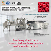 Équipement CE entièrement automatique en SUS304 pour l'enrobage de chocolat pour la production de snacks aux framboises séchées avec option OEM