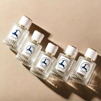 Flacon de parfum personnalisé 30ml 50ml 100ml, boîte personnalisée avec autocollant, emballage de parfum, flacon vaporisateur, flacon de parfum en verre