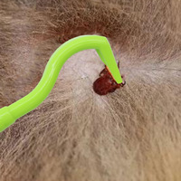 Outils en plastique pour enlever les puces contre les poux Pince à puces pour animaux de compagnie Peigne anti-tiques pour chiens et chats