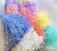 Leuchtend Bunte Getrocknete und Konservierte Gypsophila-Blüten für Weihnachtliche Heimdekoration zum Vorteilspreis
