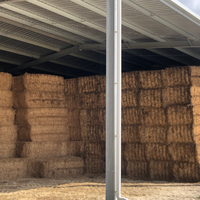 Cobertizo de heno de estructura de acero prefabricado grande, caseta aislada para perros, cobertizo de granja, cobertizo de almacén, construcción