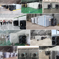 Fabrieksleverancier van fruit- en groentedroogmachines, warmtepomp bladdroogmachine