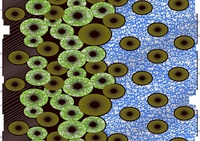 Échantillon gratuit en stock Tissu Ankara Imprimé Wax Africain Holland Wax 100% Coton Motifs uniques pour Robes et Vêtements
