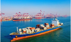 유럽 해상 운송 특급 세금 포함 45-50일 - Product Image 4