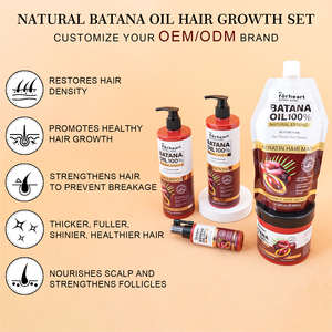 Champú Profesional OEM de Batana Revitalizador del Cuero Cabelludo Sin Sulfatos, Marca Privada, Precio de Fábrica al Por Mayor, Bajo MOQ, Reparación Capilar - Product Image 4