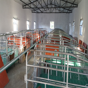 Bán Chạy Nhất Thiết Bị Cày Nhỏ Chìa Khóa Trao Tay Chuồng Lợn Trang Trại Chuồng Nuôi Lợn - Product Image 4