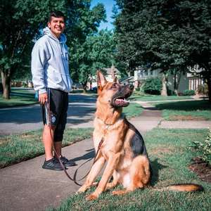 Correa de cuero trenzado resistente para perros y mascotas Sennier, <span class=keywords><strong>collar</strong></span> para caminar de entrenamiento con lazo y patrón de letras - Product Image 5