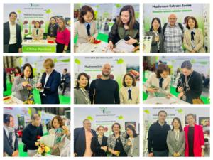 <span class=keywords><strong>Duanwood</strong></span> настенный сломанный порошок спор грибов Ganoderma Lucidum <span class=keywords><strong>Reishi</strong></span> - Product Image 6