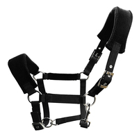 Harnais pour cheval en sangle PP, avec œillet métallique, accessoires nickelés, produit d'équitation, équipement de course hippique LT2011
