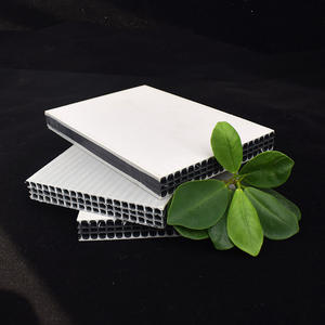 Coffrage mural en plastique recyclé à design moderne, très demandé, réutilisable 60 fois, taille réglable, certifié ISO 9001 pour le bâtiment - Product Image 1