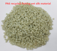Chine Usine Vente Directe Polyamide Recyclé 6 Granules De Plastique Recyclés Matériaux Nylon 6 PA6