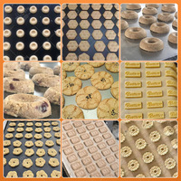 Machine à biscuits durs MY, petite machine à mouler les biscuits, machine à fabriquer des biscuits salés