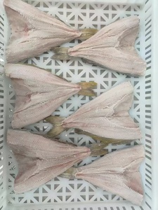Filete de Atún <span class=keywords><strong>Atka</strong></span> Congelado, Pescado de Primera Calidad - Product Image 5