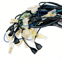 Arnés de cableado para portalámparas de coche personalizado con conector moldeado y cables terminales