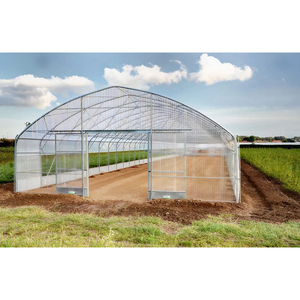 Precio de fábrica Marco de acero galvanizado en caliente Hoja de plástico Invernadero de un solo tramo Invernadero de túnel para vegetales agrícolas - Product Image 1