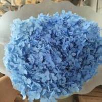 Hortensia blanchi et stabilisé de haute qualité, diamètre 17-20 cm, prix de gros, pour mariage, fête des Mères, Noël, décoration intérieure
