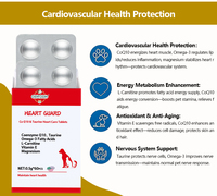 OEM/ODM Pelindung Jantung Hewan Peliharaan HEART GUARD Co Q10 Asam Lemak Omega-3 Vitamin E Tablet Organik Bebas Biji-bijian Penyerapan Cepat Suplemen Perawatan Jantung