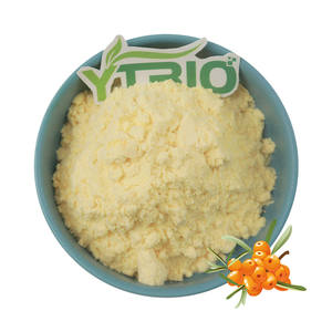 Poudre de cynorrhodon naturelle en vrac - Poudre de fruit d'<span class=keywords><strong>Hippophae</strong></span> <span class=keywords><strong>Rhamnoides</strong></span> biologique pour compléments alimentaires, boissons et étiquette privée - Product Image 1