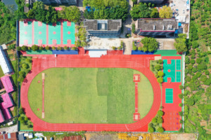 INOLP, envío rápido, pista para correr de PU completa, hecha en China/Guangxi, fórmula antigrietas, estabilidad térmica para condiciones climáticas extremas - Product Image 5